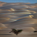 Dunes du Trarza (Mauritanie) © Jacques BOUBY