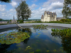 Château d'Amboise-CC BY-NC Jacques BOUBY