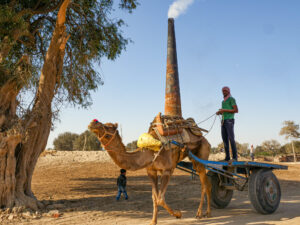 Rajasthan, dromadaires au travail-CC BY-NC Jacques BOUBY