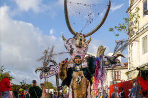 diable-mardi-gras-carnaval-martinique-CC BY-NC Jacques BOUBY