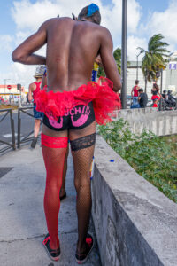 Carnaval, Fort de France, Martinique-CC BY-NC Jacques BOUBY