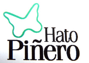 Venezuela, Llanos, la Mariposa, emblème de Hato Piñero,