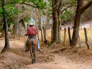 Venezuela, Llanos, Hato Piñero, llanero-CC BY-NC Jacques BOUBY