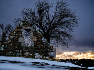 Aubrac, arbres , masuc en ruine, hiver-CC BY-NC Jacques BOUBY