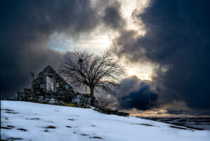 Aubrac, arbres , masuc en ruine, hiver-CC BY-NC Jacques BOUBY