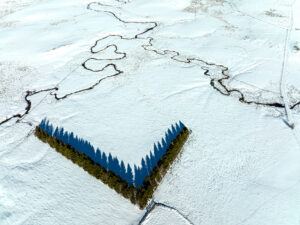 AUBRAC sous la neige-CC BY-NC Jacques BOUBY