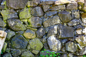AUBRAC, murs, prismes basaltiques - CC BY-NC Jacques BOUBY