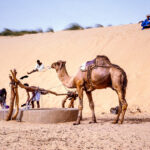 Puits d'Ain Salama, Mauritanie-CC BY-NC Jacques BOUBY