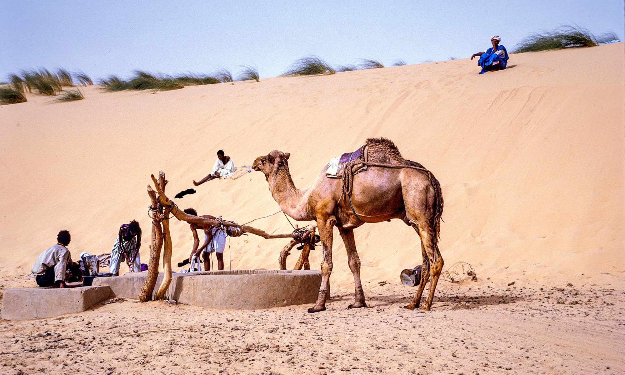Puits d'Ain Salama, Mauritanie-CC BY-NC Jacques BOUBY