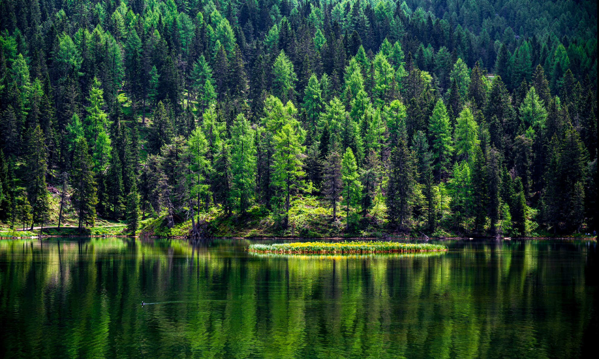 Lac-Dolomite-mai-juin2726